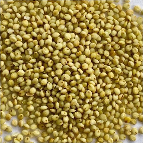 Browntop Millets