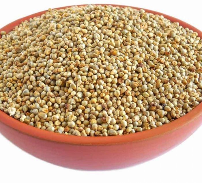 Pearl Millets